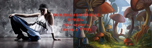 PSILOCYBIN Киренск