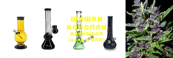 PSILOCYBIN Киренск