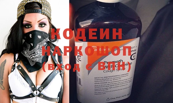 шишки Карпинск