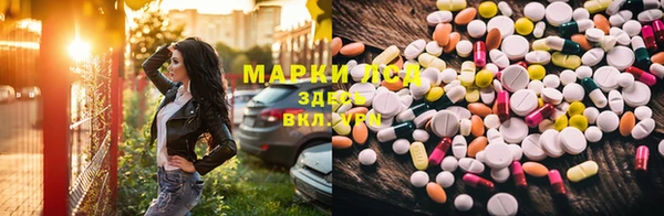 шишки Карпинск