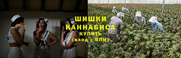 стаф Карталы