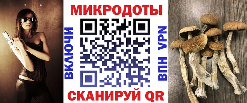 Купить  Галич  Галлюциногенные грибы Psilocybine cubensis 